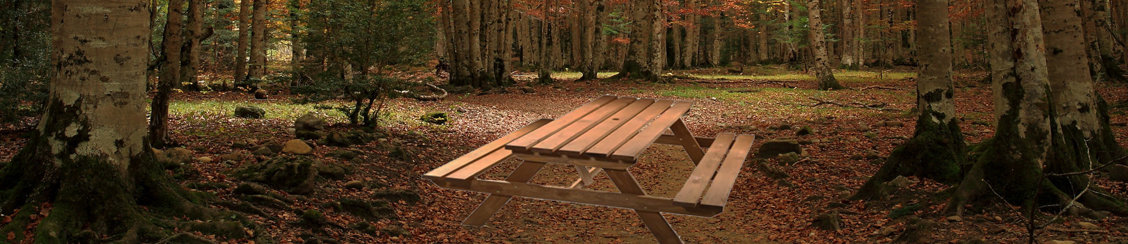 Muebles de madera en Bilbao